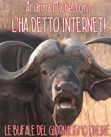 L'ha detto internet! - Arianna Michettoni - ebook