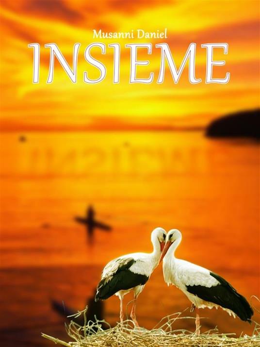 Insieme - Daniel Musanni - ebook