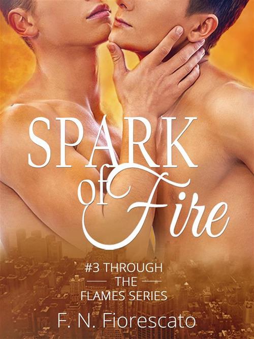 Spark of fire. Through the flames series - F. N. Fiorescato - ebook