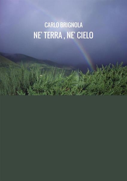 Né terra né cielo - Carlo Brignola - copertina