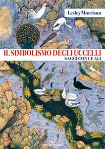 Image of Il simbolismo degli uccelli. Saggi con le ali