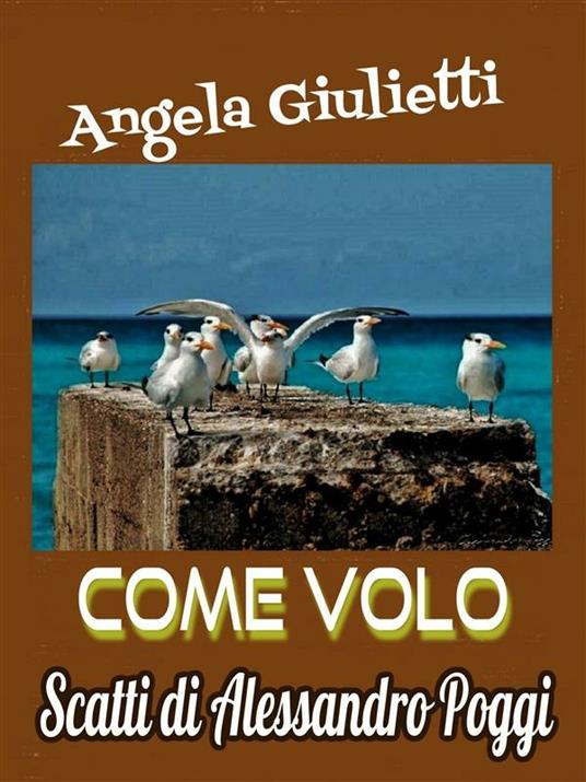 Come volo. Ediz. illustrata - Angela Giulietti,Alessandro Poggi - ebook