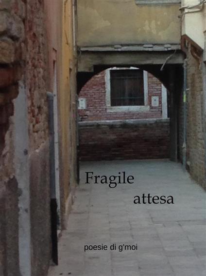 Fragile attesa - Giovanni Moi - ebook