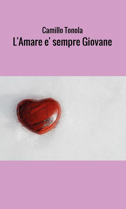 L' amare è sempre giovane - Camillo Tonola - copertina