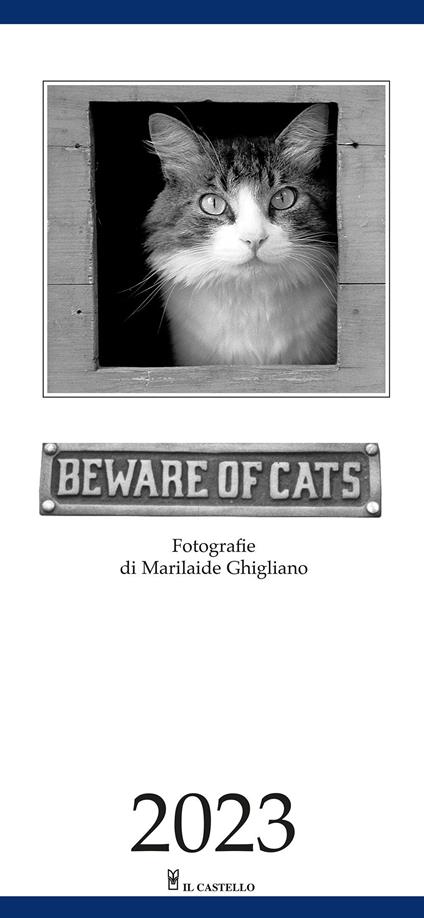 Beware of cats. Calendario 2023 - copertina