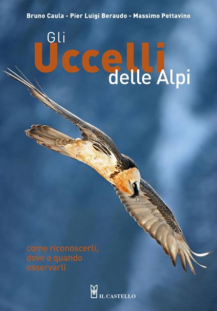 Gli uccelli delle Alpi. Come riconoscerli, dove e quando osservarli. Ediz. illustrata - Bruno Caula,Pier Luigi Beraudo,Massimo Pettavino - copertina