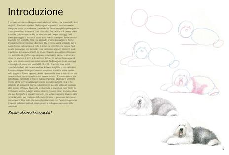 Come disegnare cani con semplici passaggi - Susie Hodge - 3