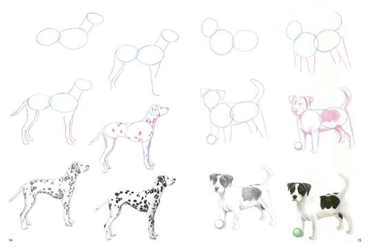 Come disegnare cani con semplici passaggi - Susie Hodge - Libro