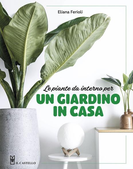 Le piante da interno per un giardino in casa. Ediz. illustrata - Eliana Ferioli - copertina