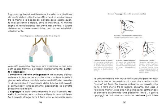 L'arte dell'equitazione. Manuale completo e illustrato - Andrea Pantano - 5