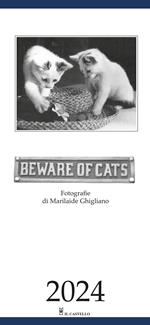 Beware of cats. Calendario 2024