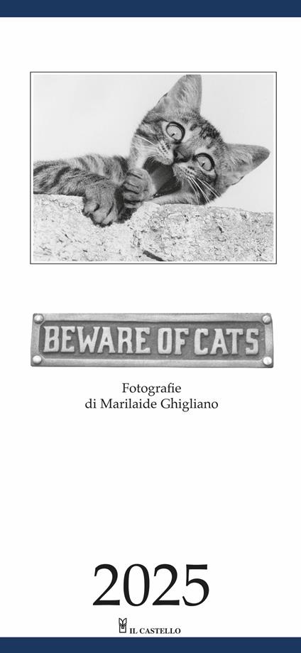 Beware of cats. Calendario 2025 - copertina