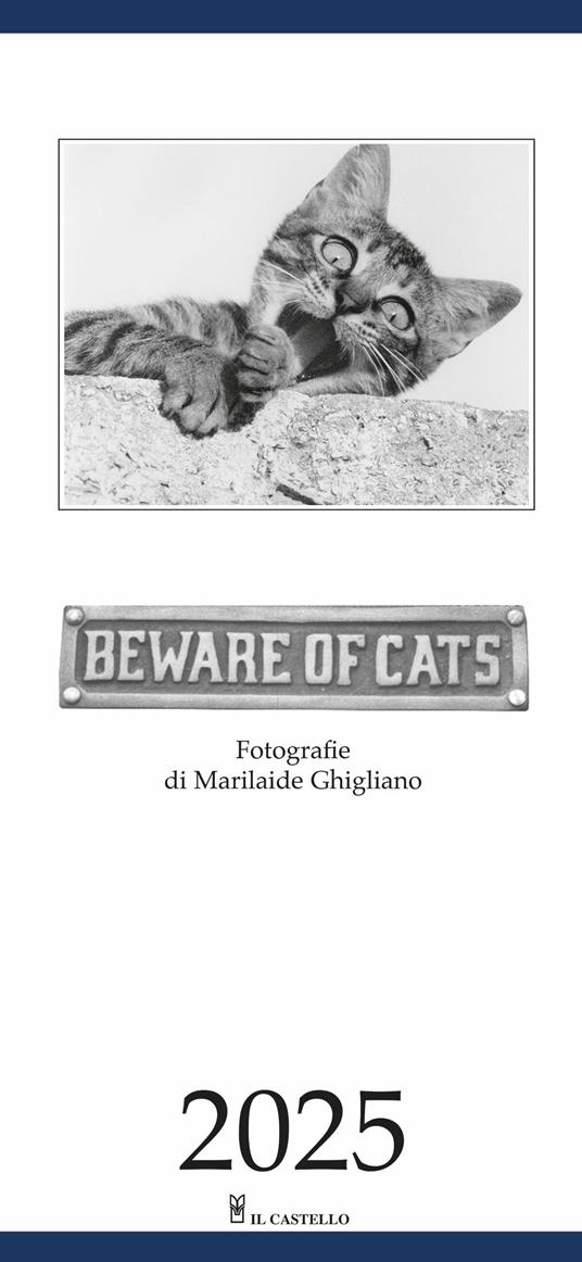 Beware of cats. Calendario 2025