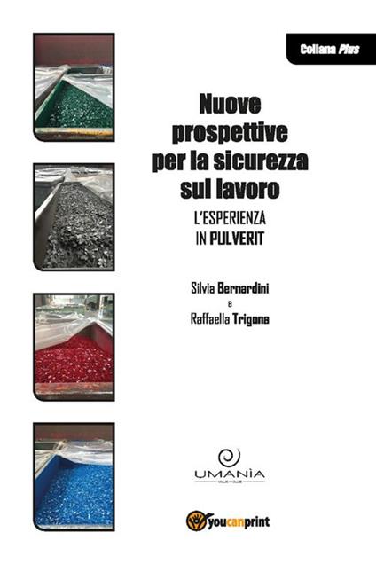 Nuove prospettive per la sicurezza sul lavoro. L'esperienza in Pulverit - Silvia Bernardini,Raffaella Trigona - ebook