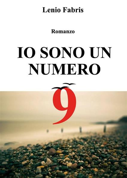 Io sono un numero 9 - Lenio Fabris - ebook