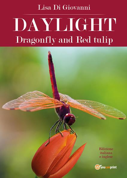 Daylight. Dragonfly and Red tulip. Ediz. italiana - Lisa Di Giovanni - copertina
