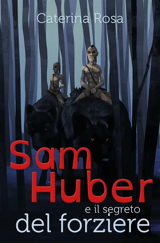 Sam Huber e il segreto del forziere - Caterina Rosa - ebook