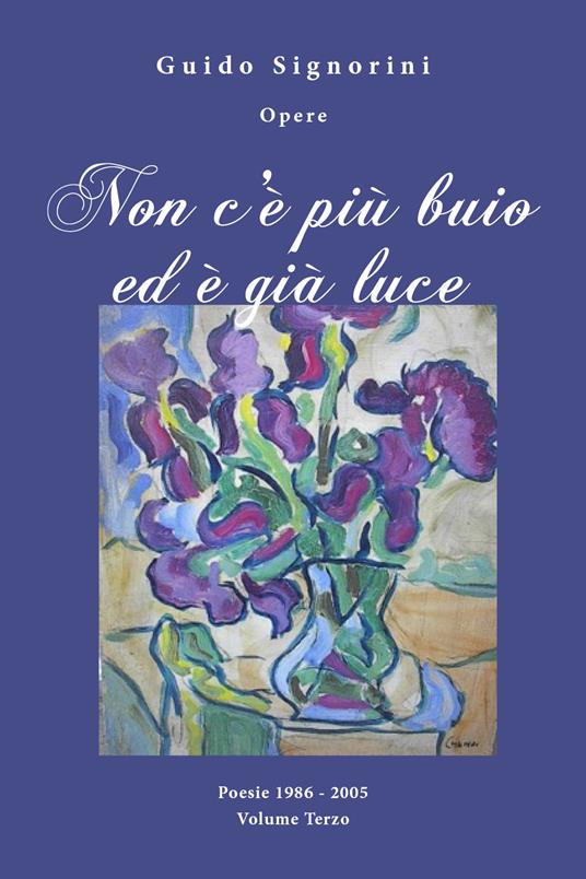 Non c'è più buio ed è già luce - Guido Signorini - copertina