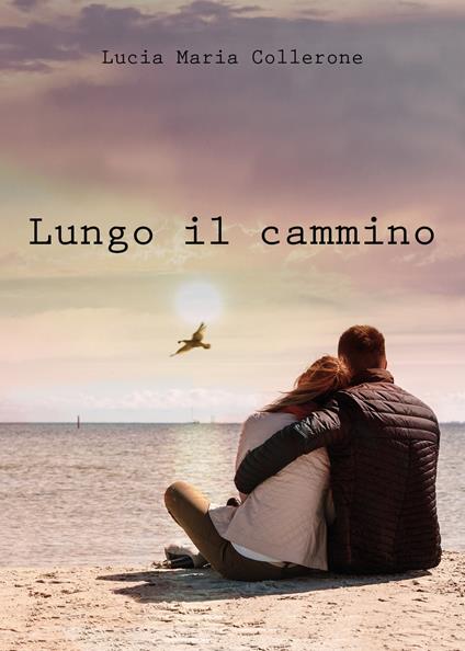 Lungo il cammino - Lucia Maria Collerone - copertina