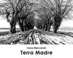 Terra madre. Ediz. illustrata