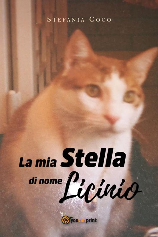 La mia stella di nome Licinio - Stefania Coco - copertina