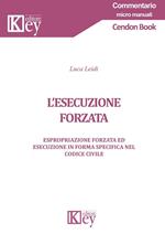 L’esecuzione forzata