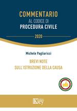 Brevi note sull'istruzione della causa