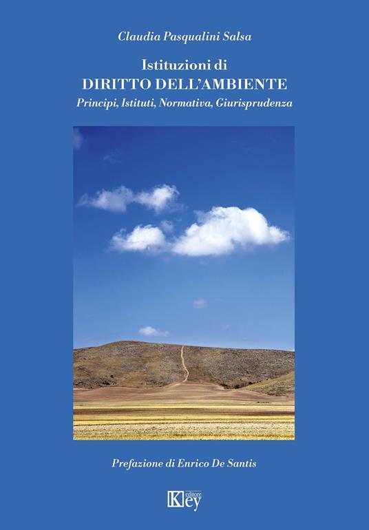 Istituzioni di diritto dell'ambiente. Principi, istituti, normativa, giurisprudenza - Claudia Pasqualini Salsa - copertina