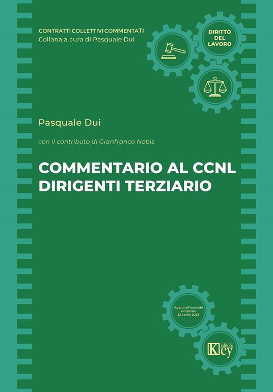 Commentario al CCNL dirigenti terziario - Pasquale Dui - ebook