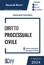 Diritto processuale civile 2024