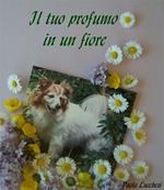 Il tuo profumo in un fiore