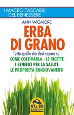 Erba di grano. Tutto quello che devi sapere su: come coltivarla, le ricette, i benefici per la salute, le proprietà ringiovanenti