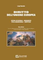 Diritto dell'Unione europea. Sistema istituzionale. Ordinamento. Tutela giurisdizionale. Competenze