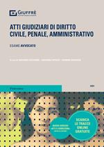 Atti giudiziari di diritto civile, penale, amministrativo