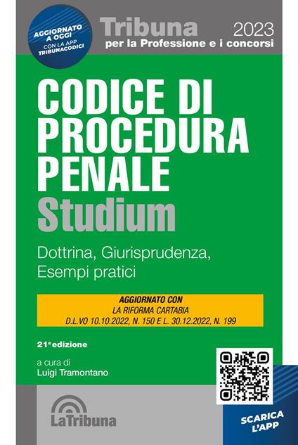 Codice di procedura penale Studium. Dottrina, giurisprudenza, schemi, esempi pratici - copertina