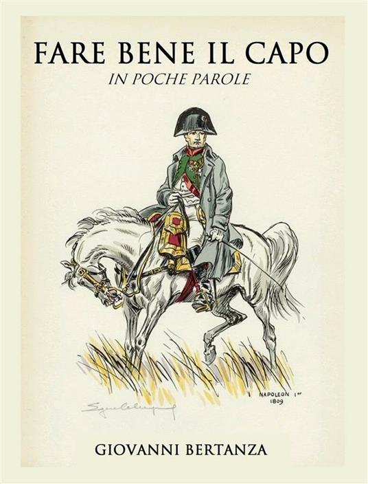 Fare bene il capo. In poche parole - Giovanni Bertanza - ebook