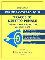 Esame avvocato 2018. Tracce di diritto penale. Con soluzioni schematiche per pareri e atti