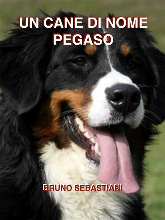 Un cane di nome Pegaso - Bruno Sebastiani - ebook