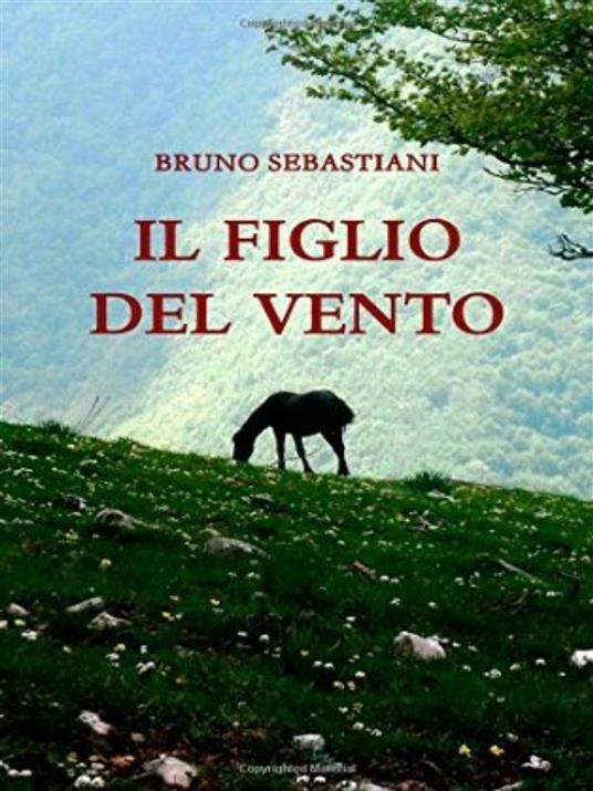 Il figlio del vento - Bruno Sebastiani - ebook