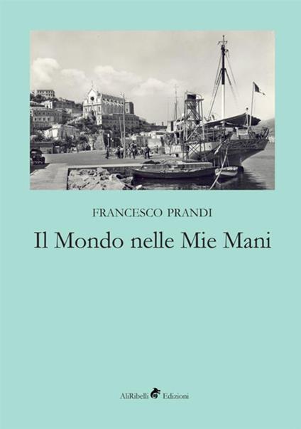 Il mondo nelle mie mani - Francesco Prandi - copertina