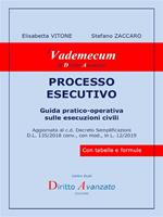 Processo esecutivo. Guida pratico-operativa sulle esecuzioni civili