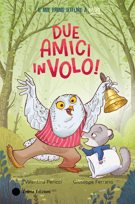 Due amici in volo! Ediz. a colori - Valentina Pericci - copertina