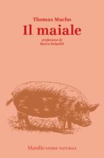 Il maiale