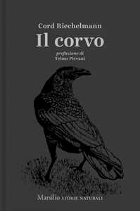 Image of Il corvo