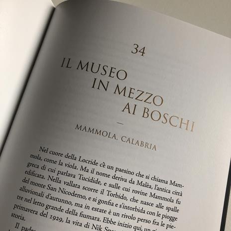 Storie meridiane. Miti, leggende e favole per raccontare l'arte - Lauretta Colonnelli - 5