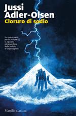 Cloruro di sodio. I casi della sezione Q. Vol. 9