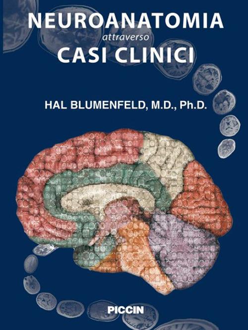 Neuroanatomia attraverso casi clinici - Hal Blumenfeld - Libro - Piccin-Nuova  Libraria - | IBS