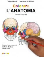 Colorare l'anatomia