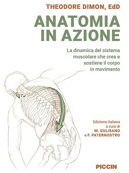 Anatomia in azione. La dinamica del sistema muscolare che crea e sostiene il corpo in movimento - Theodore Dimon - copertina