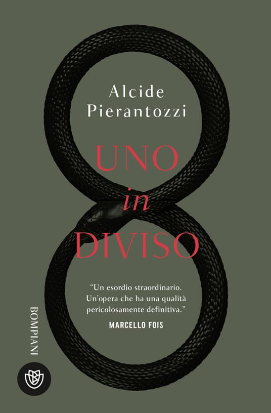 Uno in diviso - Alcide Pierantozzi - copertina